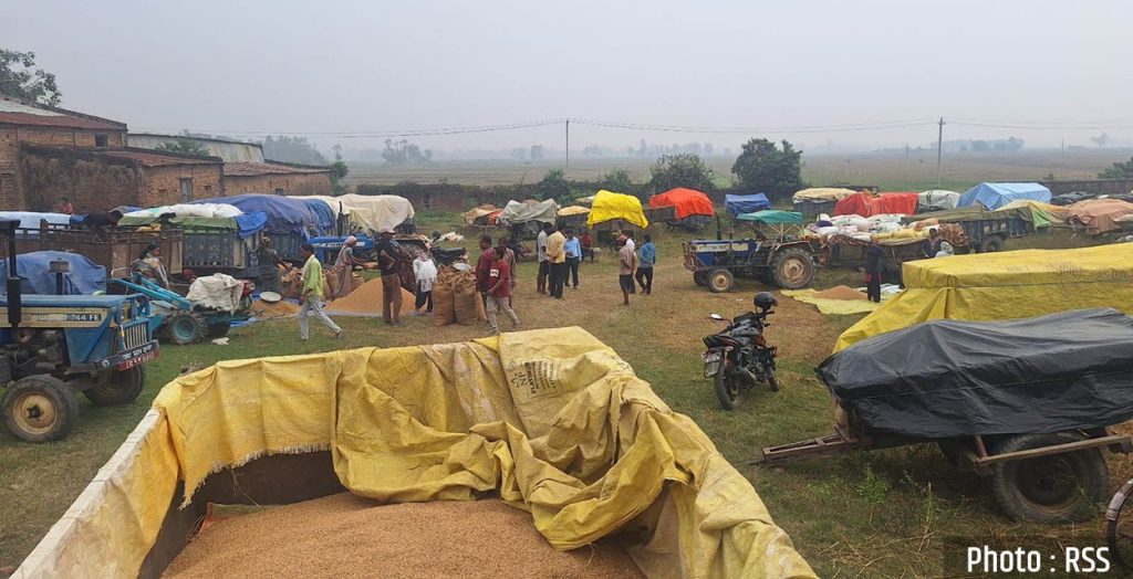 सरकारले तोकेको समर्थन मूल्यमा धान बेच्न किसानहरु लाइनमा