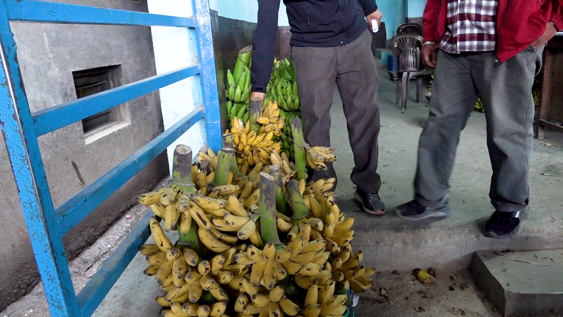 दर्जनमै ३०० पुग्यो केराको मूल्य राज्यले गुमायो दैन...