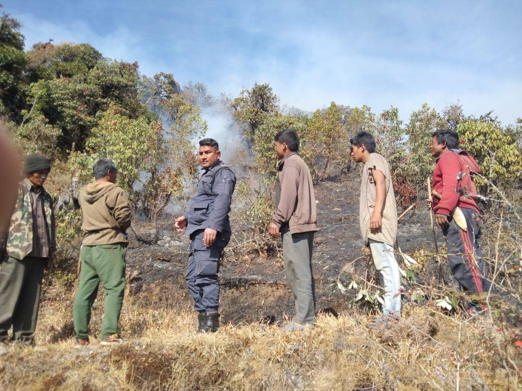 शैलुङको जङ्गलमा लागेको आगो नियन्त्रणमा आएन, बेतालीको जङ्गलको आगो पनि नियन्त्रण बाहिर